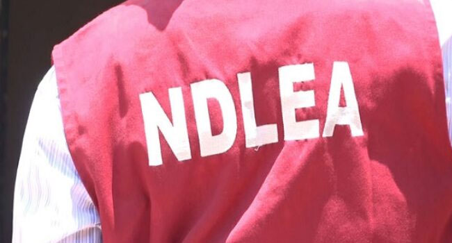 NDLEA Warns Against Rising Abuse of Dangerous Street Drugs